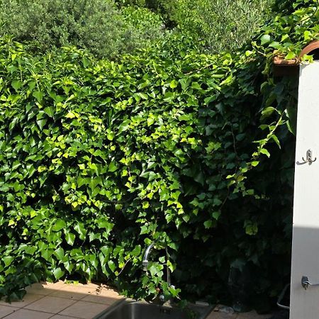Villa Margherita Maratea Exterior foto